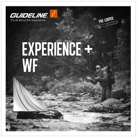 Experience+ WF #4 - Float