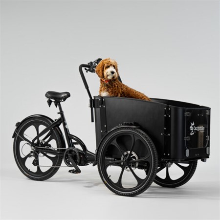 Cargobike DeLight Dog