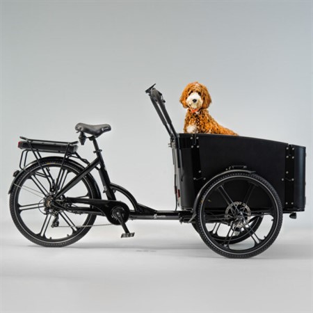 Cargobike Flex Dog