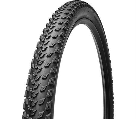 FAST TRAK CONTROL 2BR TIRE 29X2.3