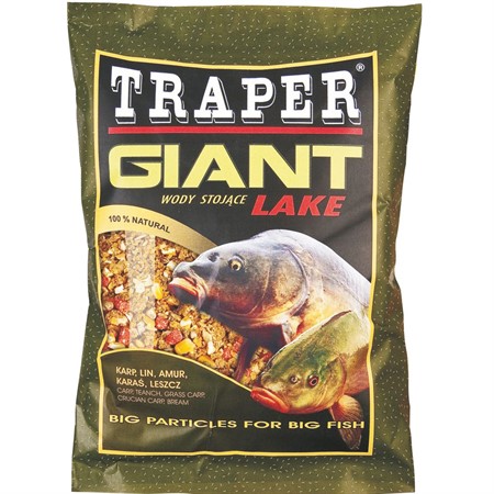 Giant Lake Carp