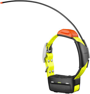 T5x GPS Collar, Nordic