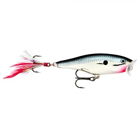 Skitter Pop 7cm CH