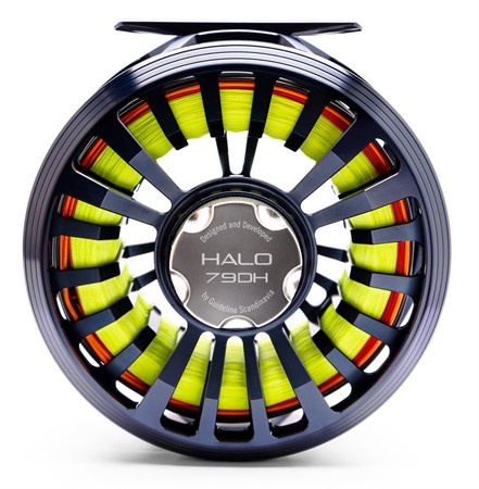 Halo #79 DH