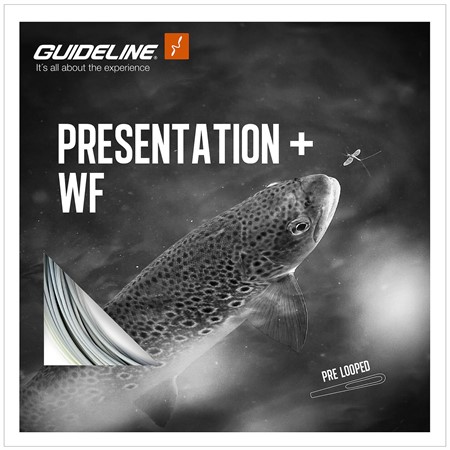 Presentation+ WF #4 - Float