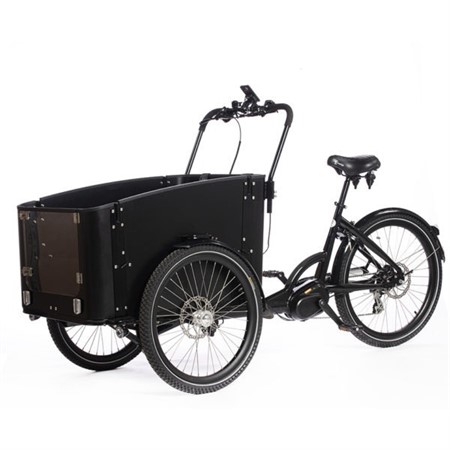 Cargobike DeLight Dog