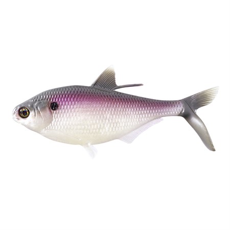 BAMF Shad Swimbait 8" Purple Shad