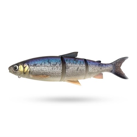 3D LT WHITEFISH 36CM/478G MS WHITEFISH