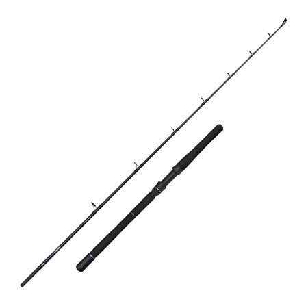 FURY SG2 HALIBUT 1.90M/40-60LB/800G 1P1