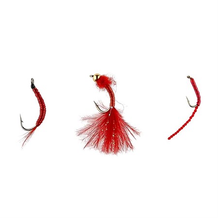IFISH Bloodworms