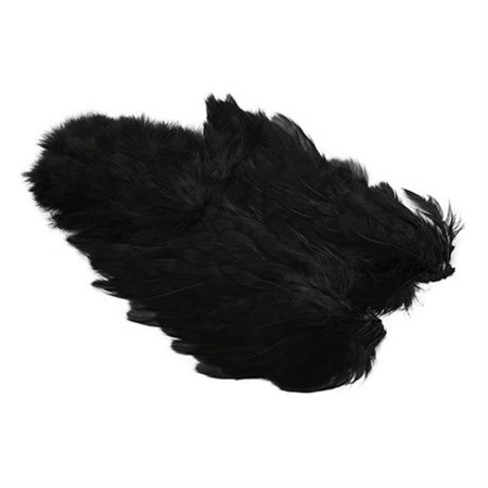 Coq de Leon Hen SH/C Fl. Black