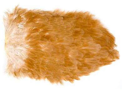 Coq de Leon Hen SH/C Medium Ginger