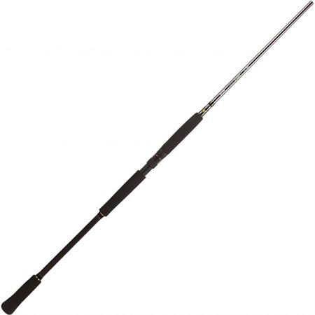BFT Raptor G2 Pike Multi 8' -100g 2pcs