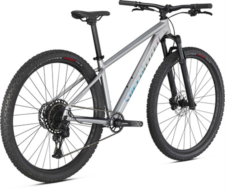 ROCKHOPPER EXPERT 29 SILDST/BLKHLG M