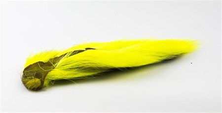 Bucktail Large Fl. Yellow