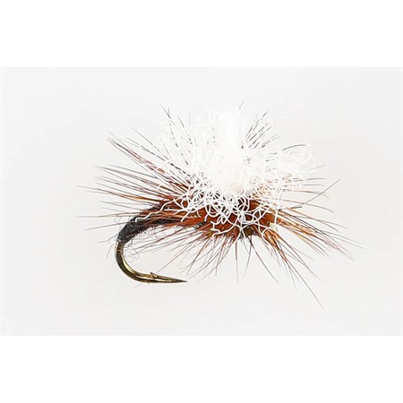 KLINKHAMMER GRIZZLY #12