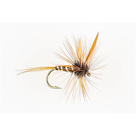 BROWN SPENT GNAT #12