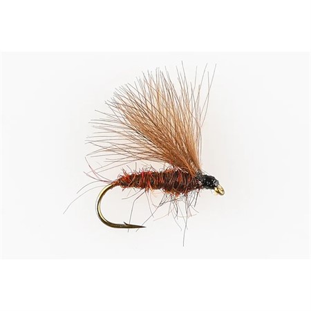 BROWN EMERGER CDC #14
