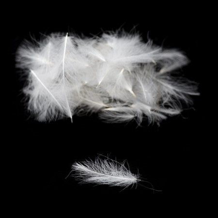 Premium CDC White