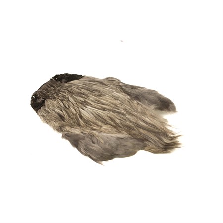 Indisk Tuppnacke Blue Dun