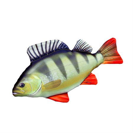 The Perch, 50cm