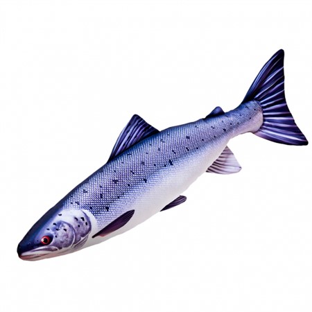 The Atlantic Salmon, 60cm