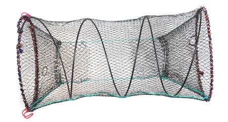 Kräftmjärde H=60cm  B=30cm