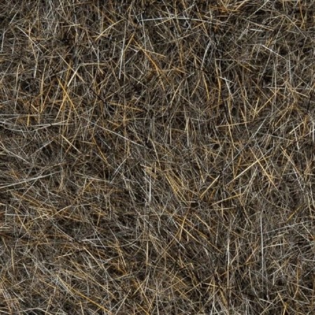Natural Fur Gray Squirrel