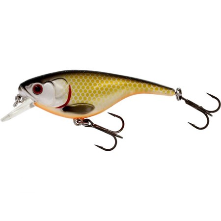 BabyBite SR Crankbait 6,5cm 12g Floating Official Roach