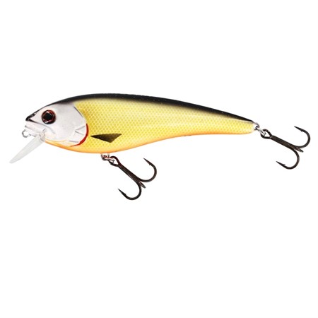 RawBite Crankbait 17cm 100g Low Floating Official Roach