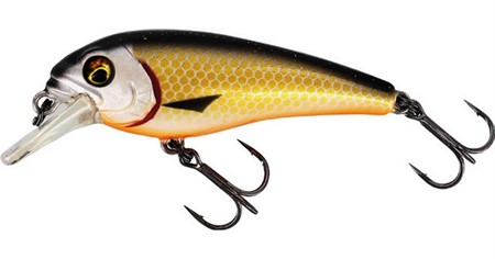 BullyBite Crankbait 6cm 9g Floating Official Roach