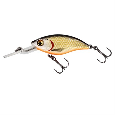 BuzzBite Crankbait 5cm 6g Suspending Official Roach