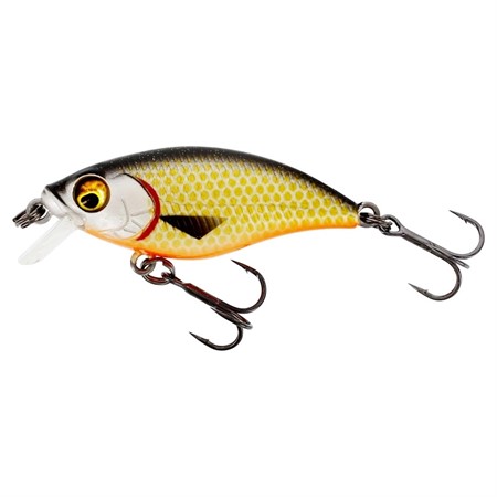 BuzzBite SR Crankbait 5cm 6g Low Floating Official Roach