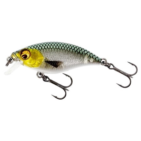 BuzzBite SR Crankbait 5cm 6g Low Floating 3D Headlight