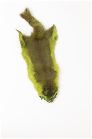Pine Squirrel Skin Fl. Chartreuse