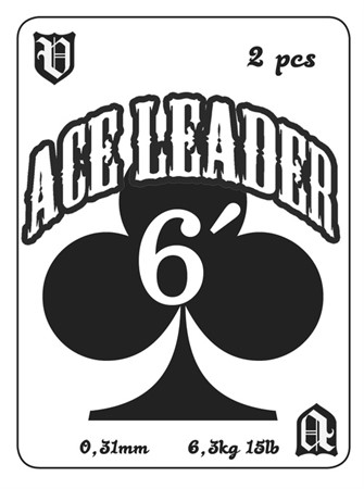 ACE leader 6' 0,31mm