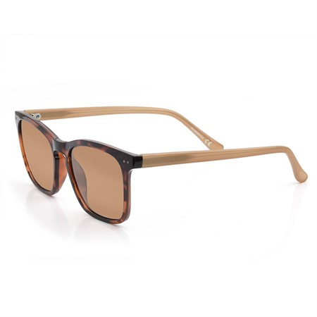 SIR sunglasses brown