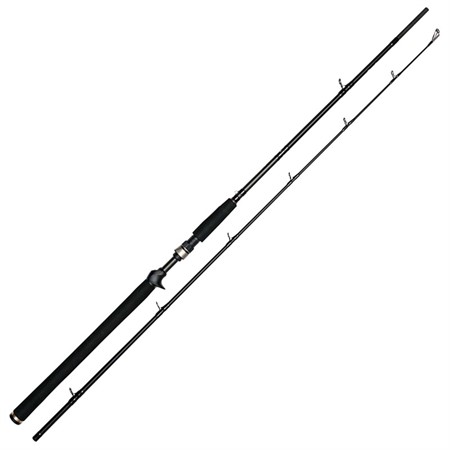 W3 Jerkbait 6'6"/195cm H 20-80g 2sec
