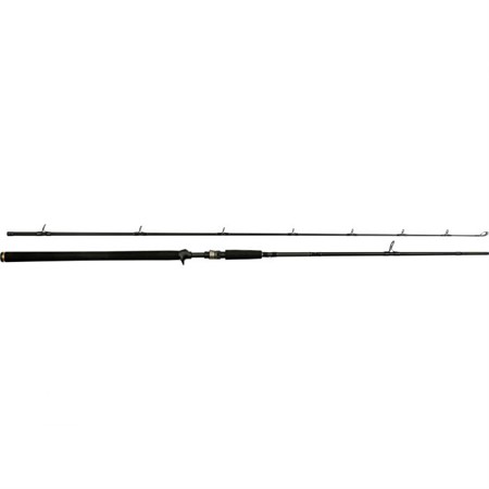 W3 Powercast-T 2nd 8'3"/248cm XH 20-80g 2sec